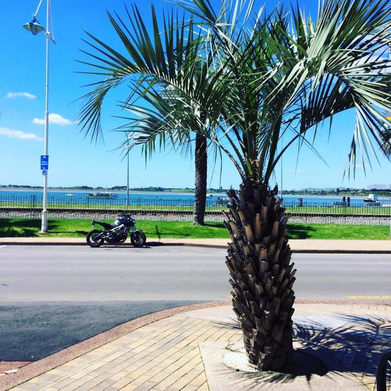 Harbourside City Backpackers Tauranga Eksteriør bilde